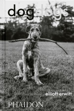 Dogdogs image number 0