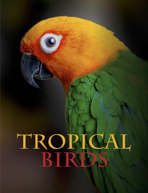 Tropical Birds image number 0