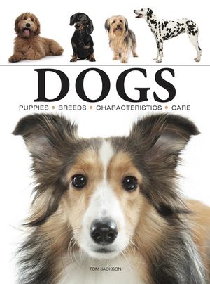 Dogs image number 0