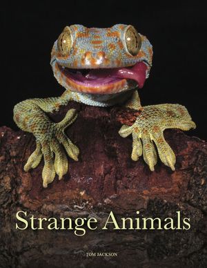 Strange Animals image number 0