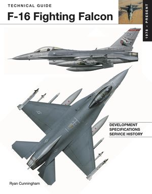 F-16 Fighting Falcon image number 0