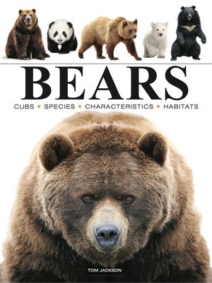 Bears image number 0