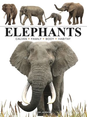 Elephants image number 0