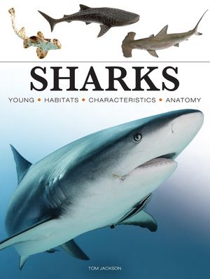 Sharks image number 0