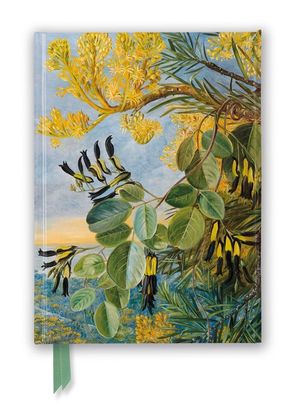 Kew: Marianne North: Flowers of the Flame-Tree and Yellow and Black Twiner, West Australia (Foiled Journal) image number 0