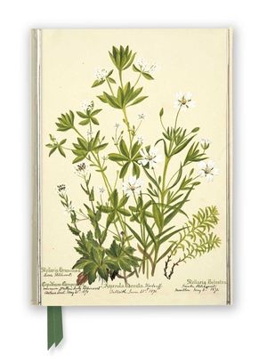 Rbge: Charlotte Cowan Pearson: Stitchworts, Woodruff and Pepperwort (Foiled Journal) image number 0