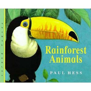 Rainforest Animals image number 0