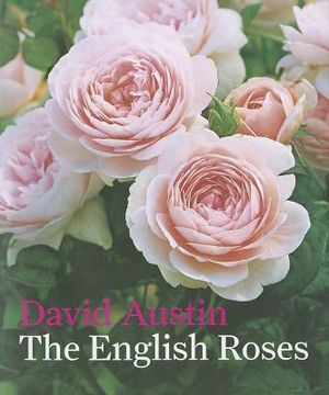 English Roses image number 0