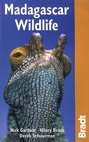 Madagascar Wildlife image number 0