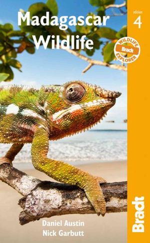 Madagascar Wildlife image number 0