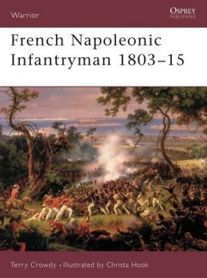 French Napoleonic Infantryman 1803 15 image number 0