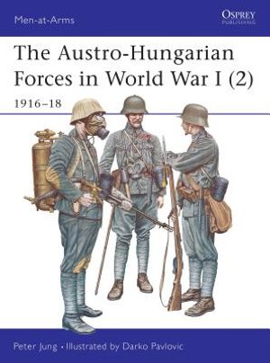 The Austro-Hungarian Forces in World War I (2): 1916-18 image number 0