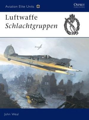 Luftwaffe Schlachtgruppen image number 0