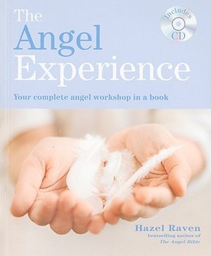 The Angel Experience: Your Complete Angel Workshop in a Book [With CD (Audio)] image number 0