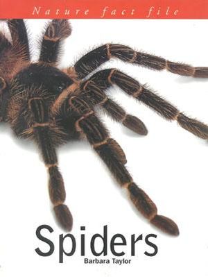 Spiders image number 0