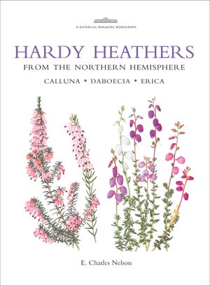 Hardy Heathers from the Northern Hemisphere: Calluna - Daboecia - Erica image number 0