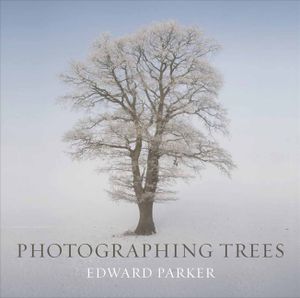 Photographing Trees image number 0