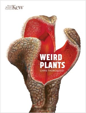 Weird Plants image number 0