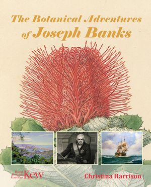 The Botanical Adventures of Joseph Banks image number 0