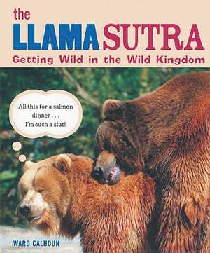 The Llama Sutra: Getting Wild in the Wild Kingdom image number 0