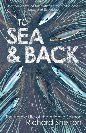 To Sea & Back: The Heroic Life of the Atlantic Salmon image number 0