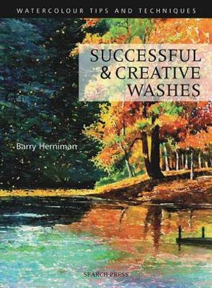 Successful and Creative Washes image number 0