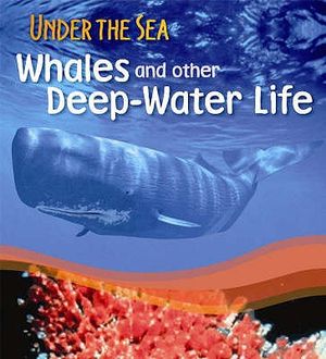 Sperm Whales and Other Deep-Water Life. Sally Morgan image number 0