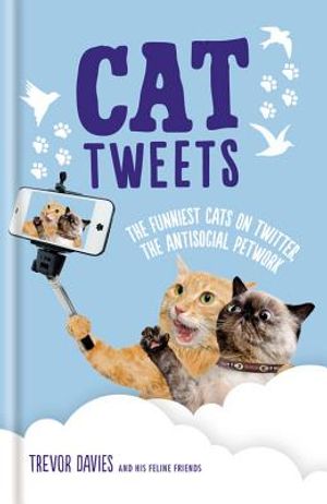 Cat Tweets image number 0