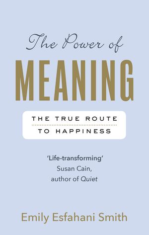 The Power of Meaning: The true route to happiness image number 0