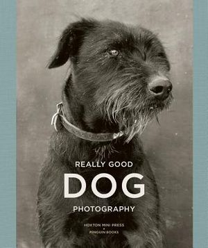 Really Good Dog Photography image number 0