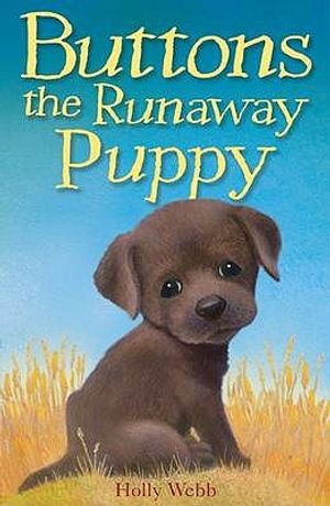 Buttons the Runaway Puppy. Holly Webb image number 0