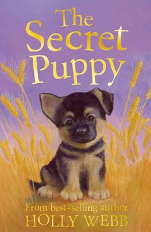 The Secret Puppy. Holly Webb image number 0