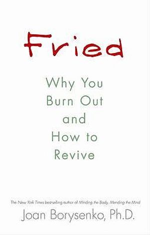 Fried: Why You Burn Out and How to Revive image number 0
