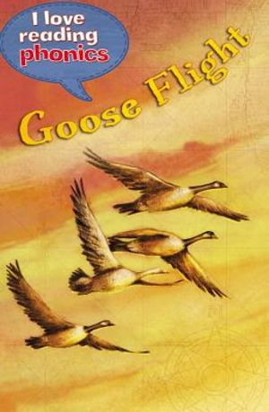 Goose Flight image number 0