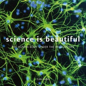 Science Is Beautiful: The Human Body Under the Microscope image number 0