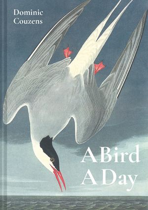 A Bird a Day image number 0