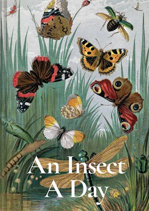 An Insect a Day image number 0
