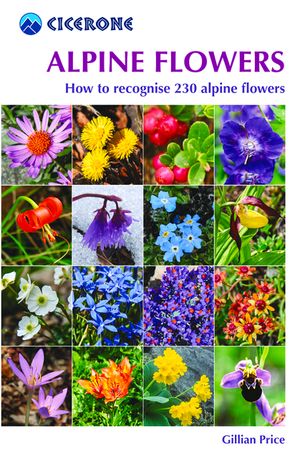 Alpine Flowers: How to Recognize Over 200 Alpine Flowers image number 0