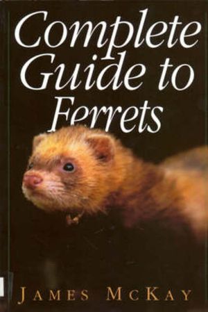 Complete Guide to Ferrets image number 0