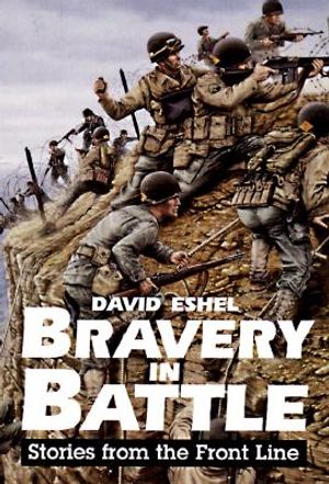 Bravery in Battle: Stories from the Front Line image number 0