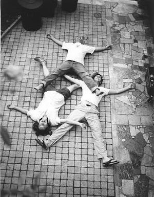 In-A-Gadda-Da-Vida: Angus Fairhurst, Damien Hirst and Sarah Lucus image number 0