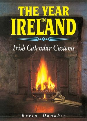 The Year in Ireland image number 0