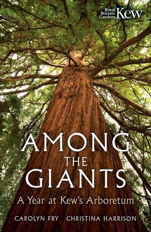 Among the Giants: A Year at the Kew Arboretum image number 0