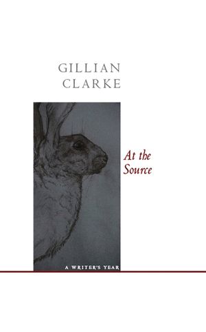 At the Source: A Writer's Year image number 0