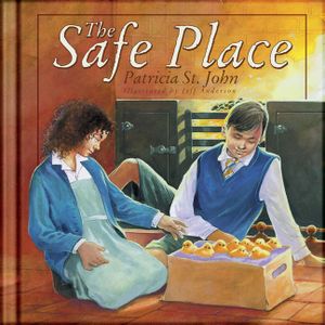 The Safe Place image number 0