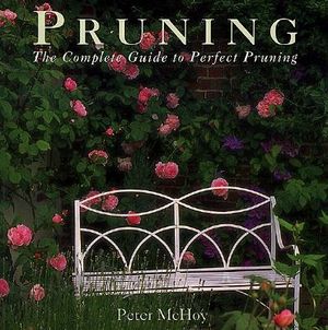 Pruning image number 0