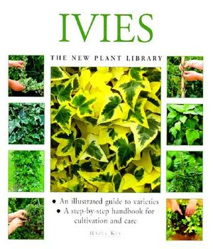 Ivies image number 0