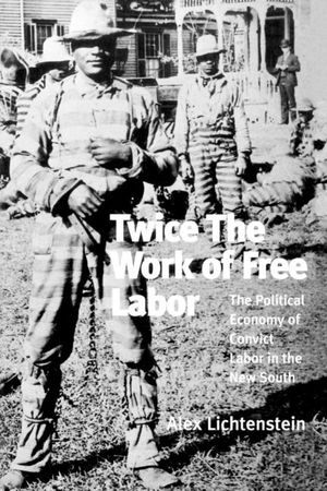 Twice the Work of Free Labor image number 0