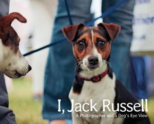 I, Jack Russell: A Photographer and a Dog's Eye View image number 0