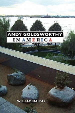 Andy Goldsworthy in America image number 0